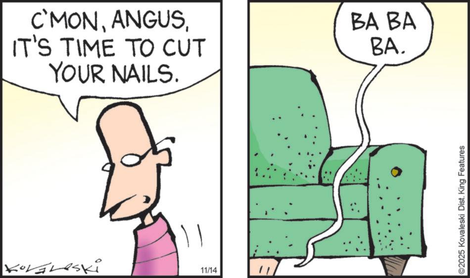 Cartoon OCR: C'MONIT'S TIME TO CUT YOUR NAILS. BA BA BA. Kovaleski 11/14 ©2025 Kovaleski Dist. King Features C'MONIT'S TIME TO CUT YOUR NAILS . BA BA BA . Kovaleski 11/14 © 2025 Kovaleski Dist . King Features