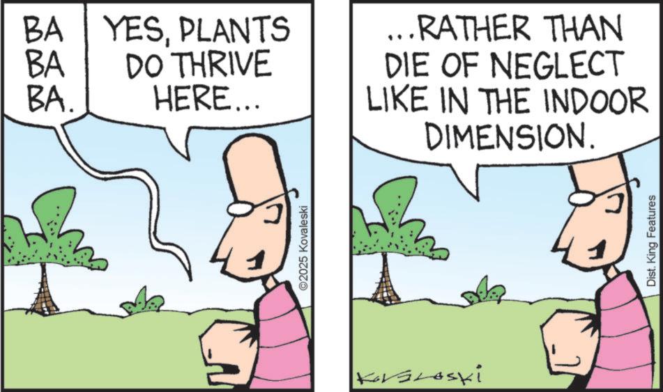 Cartoon OCR: BA YESPLANTS DO THRIVE HERE... BA BA. ...RATHER THAN DIE OF NEGLECT LIKE IN THE INDOOR DIMENSION. ©2025 Kovaleski KorsLoski ? Dist. King Features BA YESPLANTS DO THRIVE HERE ... BA BA . ... RATHER THAN DIE OF NEGLECT LIKE IN THE INDOOR DIMENSION . © 2025 Kovaleski KorsLoski ? Dist . King Features