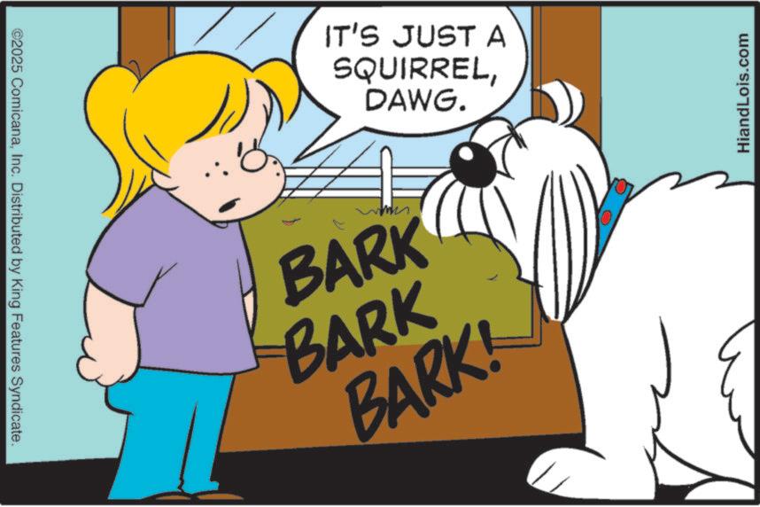 Photo caption OCR: ©2025 ComicanaInc. Distributed by King Features Syndicate. IT'S JUST A SQUIRRELDAWG. BARK BARK BARK! HiandLois.com © 2025 ComicanaInc. Distributed by King Features Syndicate . IT'S JUST A SQUIRRELDAWG . BARK BARK BARK ! HiandLois.com