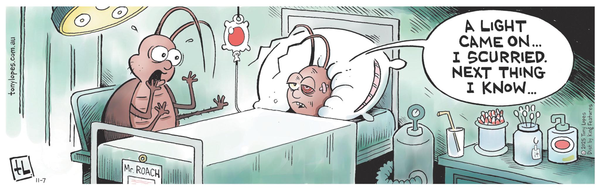 Comics OCR: 77 tonylopes.com.au 11-7 Mr. ROACH A LIGHT CAME ON... I SCURRIED. NEXT THING I KNOW... 2025 Tony Lopes Dist. by King Features 77 tonylopes.com.au 11-7 Mr. ROACH A LIGHT CAME ON ... I SCURRIED . NEXT THING I KNOW ... 2025 Tony Lopes Dist . by King Features