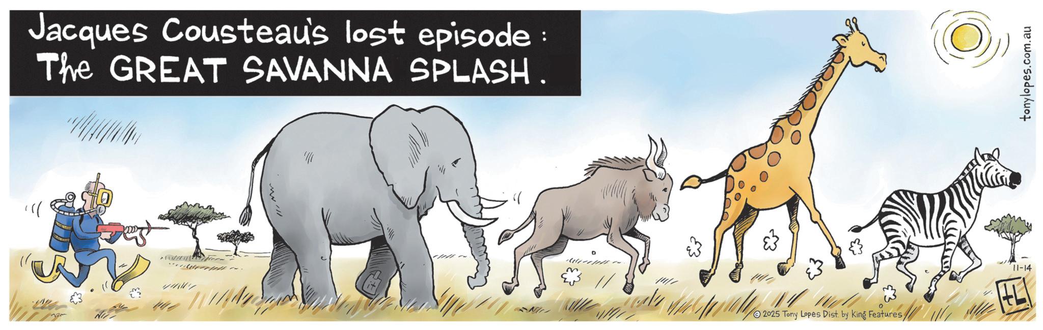 Giraffe OCR: )); Jacques Cousteau's lost episode: The GREAT SAVANNA SPLASH. 'I & © © 2025 Tony Lapes Dist by King Features 11 11-14 tonylopes.com.au ) ) ; Jacques Cousteau's lost episode : The GREAT SAVANNA SPLASH . ' I & © © 2025 Tony Lapes Dist by King Features 11 11-14 tonylopes.com.au