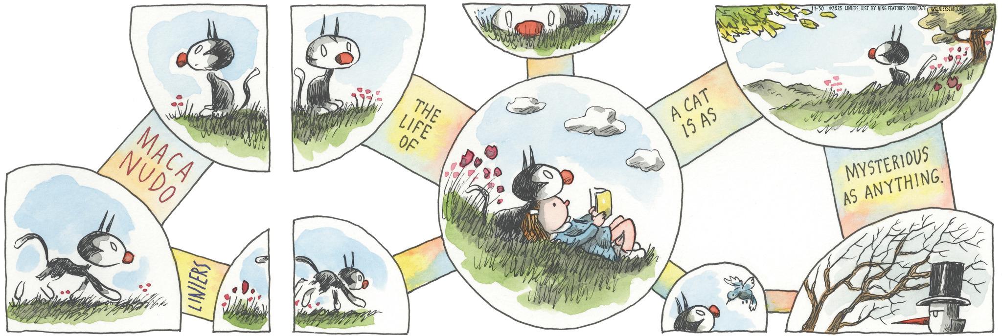 Fiction OCR: MACA NUDO LINIERS THE LIFE OF A CAT 15 AS 11-30 2025 LINIERSDIST. BY KING FEATURES SYNDICATE LINIERSCARTOON MYSTERIOUS AS ANYTHING T MACA NUDO LINIERS THE LIFE OF A CAT 15 AS 11-30 2025 LINIERSDIST . BY KING FEATURES SYNDICATE LINIERSCARTOON MYSTERIOUS AS ANYTHING T