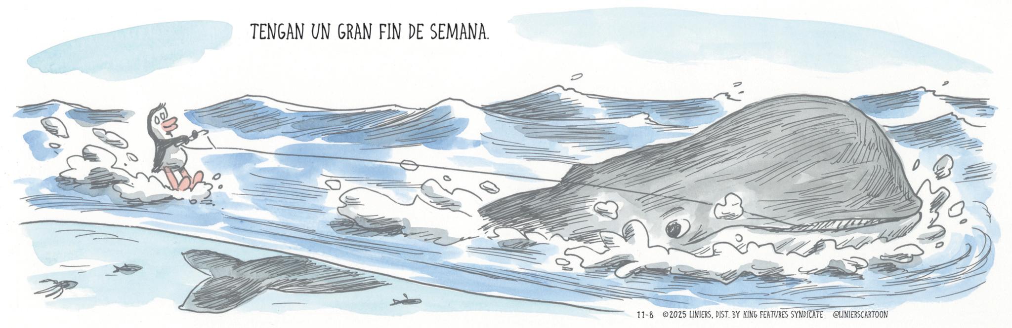 Wind wave OCR: TENGAN UN GRAN FIN DE SEMANA. 11-8 2025 LINIERSDIST. BY KING FEATURES SYNDICATE @LINIERSCARTOON TENGAN UN GRAN FIN DE SEMANA . 11-8 2025 LINIERSDIST . BY KING FEATURES SYNDICATE @LINIERSCARTOON
