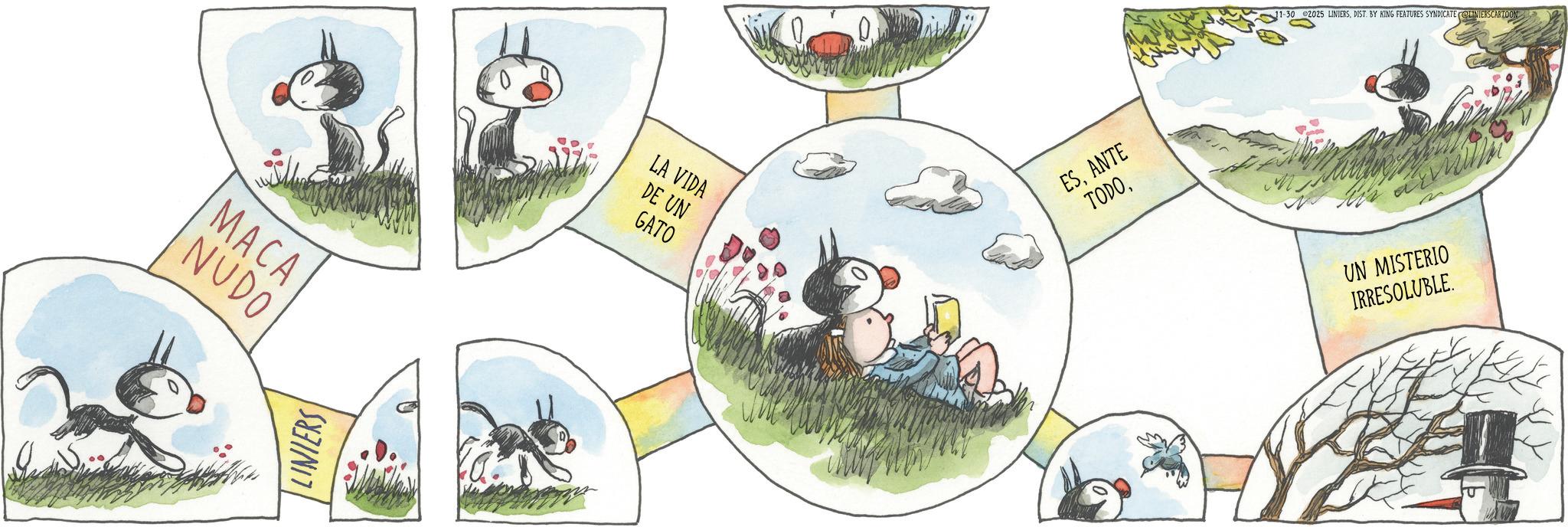 Animated cartoon OCR: MACA NUDO LINIERS LA VIDA DE UN GATO ESANTE TODODIST. BY KING FEATURES SYNDICATE LINIERSCARTOON UN MISTERIO IRRESOLUBLE. MACA NUDO LINIERS LA VIDA DE UN GATO ESANTE TODO1-30 2025 LINIERSDIST . BY KING FEATURES SYNDICATE LINIERSCARTOON UN MISTERIO IRRESOLUBLE .