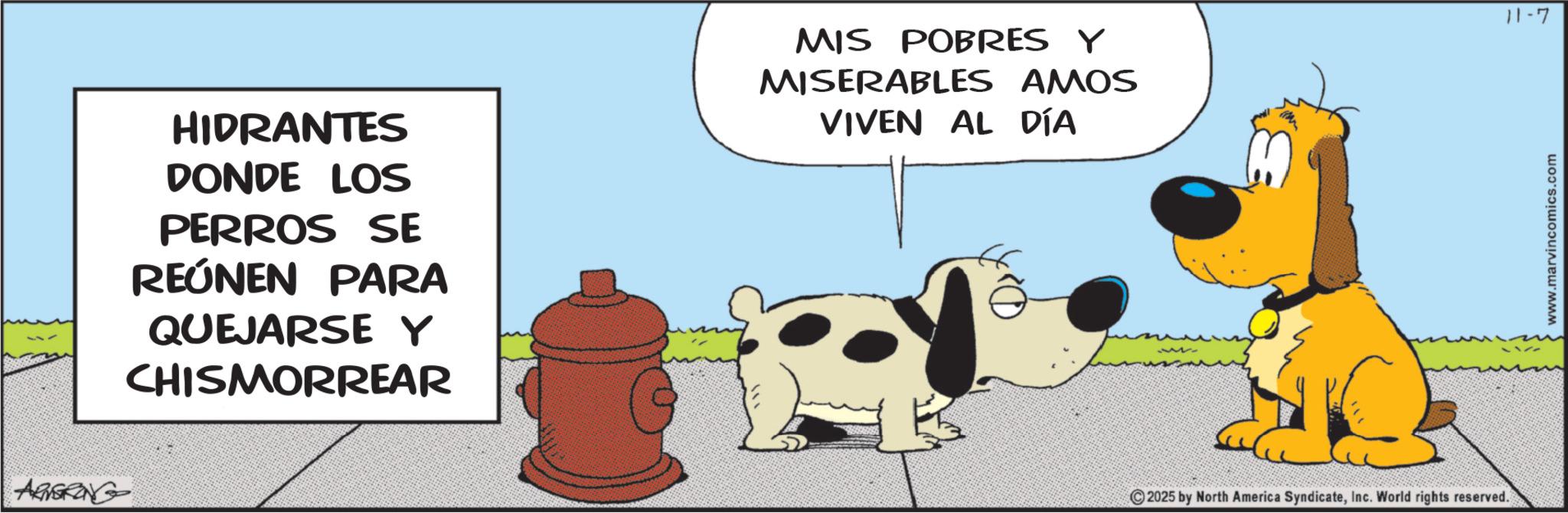Canidae OCR: ARGRING HIDRANTES DONDE LOS PERROS SE REÚNEN PARA QUEJARSE Y CHISMORREAR MIS POBRES Y MISERABLES AMOS VIVEN AL DÍA B 2025 by North America SyndicateInc. World rights reserved. 11-7 www.marvincomics.com ARGRING HIDRANTES DONDE LOS PERROS SE REÚNEN PARA QUEJARSE Y CHISMORREAR MIS POBRES Y MISERABLES AMOS VIVEN AL DÍA B 2025 by North America SyndicateInc. World rights reserved . 11-7 www.marvincomics.com