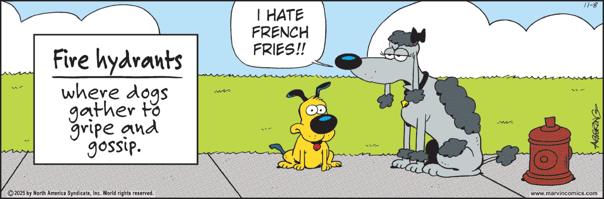 Canidae OCR: Fire hydrants where dogs gather to gripe and gossip. M 2025 by North America SyndicateInc. World rights reserved. I HATE FRENCH FRIES!! w www.marvincomics.com ARMSRING 11-8 Fire hydrants where dogs gather to gripe and gossip . M 2025 by North America SyndicateInc. World rights reserved . I HATE FRENCH FRIES !! w www.marvincomics.com ARMSRING 11-8