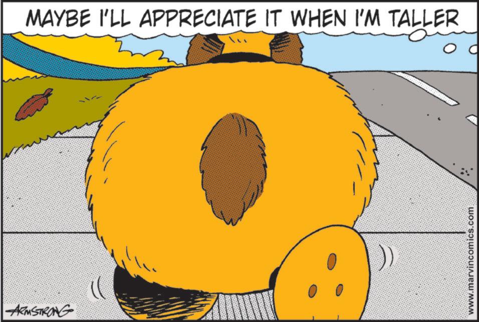 Fiction OCR: ARMSTRONG MAYBE I'LL APPRECIATE IT WHEN I'M TALLER www.marvincomics.com ARMSTRONG MAYBE I'LL APPRECIATE IT WHEN I'M TALLER www.marvincomics.com