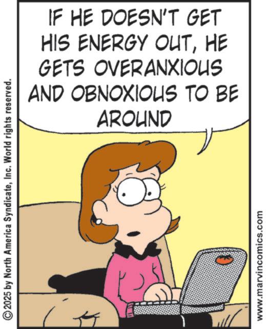Fictional character OCR: ©2025 by North America SyndicateInc. World rights reserved. IF HE DOESN'T GET HIS ENERGY OUTHE GETS OVERANXIOUS AND OBNOXIOUS TO BE AROUND www.marvincomics.com © 2025 by North America SyndicateInc. World rights reserved . IF HE DOESN'T GET HIS ENERGY OUTHE GETS OVERANXIOUS AND OBNOXIOUS TO BE AROUND www.marvincomics.com
