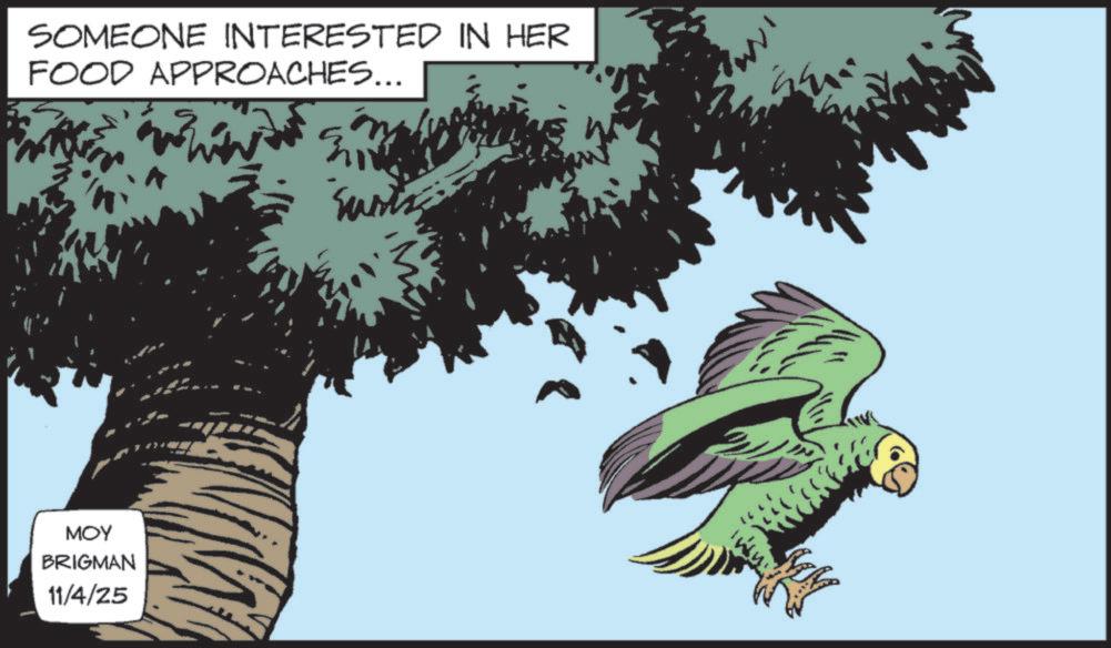 Feather OCR: SOMEONE INTERESTED IN HER FOOD APPROACHES... MOY BRIGMAN 11/4/25 SOMEONE INTERESTED IN HER FOOD APPROACHES ... MOY BRIGMAN 11/4/25
