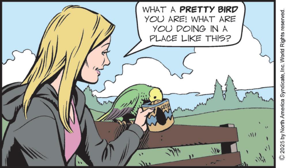 Animated cartoon OCR: ?Nh SEED WHAT A PRETTY BIRD YOU ARE! WHAT ARE YOU DOING IN A PLACE LIKE THIS? 2025 by North America SyndicateInc. World Rights reserved. ? Nh SEED WHAT A PRETTY BIRD YOU ARE ! WHAT ARE YOU DOING IN A PLACE LIKE THIS ? 2025 by North America SyndicateInc. World Rights reserved .