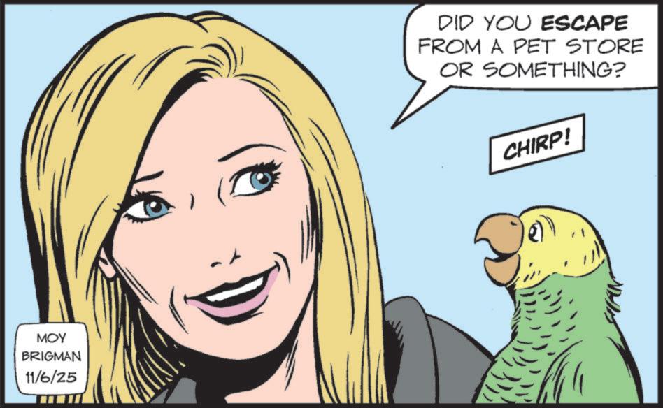 Fiction OCR: MOY BRIGMAN 11/6/25 DID YOU ESCAPE FROM A PET STORE OR SOMETHING? CHIRP! MOY BRIGMAN 11/6/25 DID YOU ESCAPE FROM A PET STORE OR SOMETHING ? CHIRP !