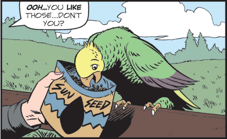Accipitriformes OCR: OOH...YOU LIKE THOSE...DON'T YOU? SUN SEED OOH ... YOU LIKE THOSE ... DON'T YOU ? SUN SEED