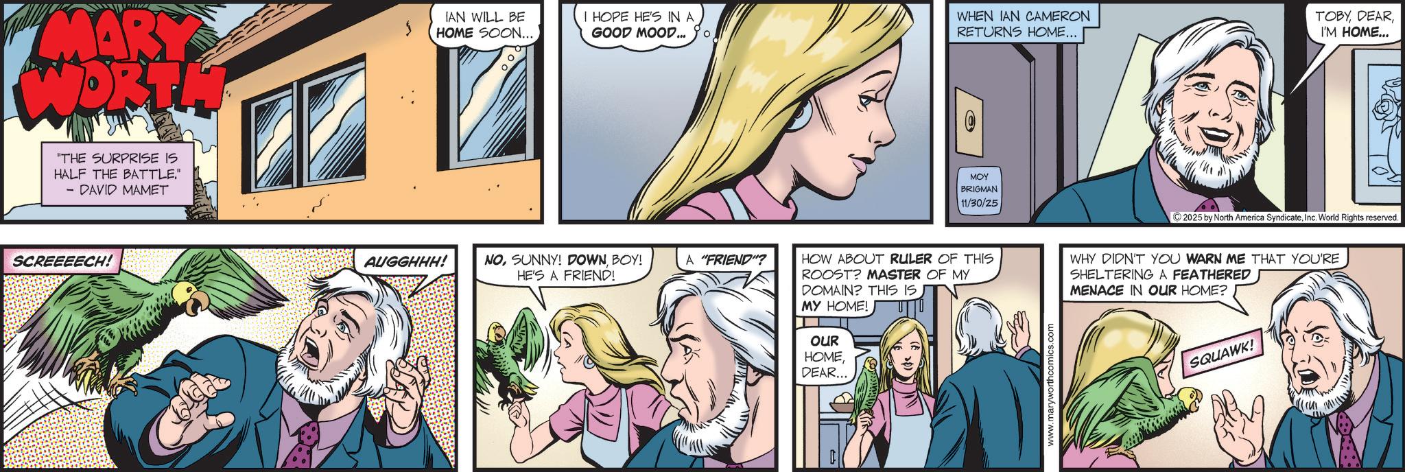 Animated cartoon OCR: MARY ORTH S IAN WILL BE HOME SOON... "THE SURPRISE IS HALF THE BATTLE." - DAVID MAMET SCREEEECH! I HOPE HE'S IN A GOOD MOOD... go. WHEN IAN CAMERON RETURNS HOME... TOBYI'M HOME... O MOY BRIGMAN 11/30/25 AUGGHHH! NOBOY! HE'S A FRIEND! A "FRIEND"? HOW ABOUT RULER OF THIS ROOST? MASTER OF MY DOMAIN? THIS IS MY HOME! OUR HOMEDEAR... www.maryworthcomics.com 2025 by North America SyndicateInc. World Rights reserved. WHY DIDN'T YOU WARN ME THAT YOU'RE SHELTERING A FEATHERED MENACE IN OUR HOME? SQUAWK! MARY ORTH S IAN WILL BE HOME SOON ... " THE SURPRISE IS HALF THE BATTLE . " - DAVID MAMET SCREEEECH ! I HOPE HE'S IN A GOOD MOOD ... go . WHEN IAN CAMERON RETURNS HOME ... TOBYI'M HOME ... O MOY BRIGMAN 11/30/25 AUGGHHH ! NOSUNNY ! DOWNBOY ! HE'S A FRIEND ! A " FRIEND " ? HOW ABOUT RULER OF THIS ROOST ? MASTER OF MY DOMAIN ? THIS IS MY HOME ! OUR HOMEDEAR ... www.maryworthcomics.com 2025 by North America SyndicateInc. World Rights reserved . WHY DIDN'T YOU WARN ME THAT YOU'RE SHELTERING A FEATHERED MENACE IN OUR HOME ? SQUAWK !