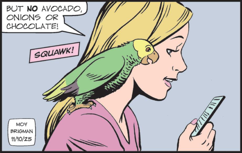 Animation OCR: BUT NO AVOCADOONIONS OR CHOCOLATE! ??? BRIGMAN 11/10/25 SQUAWK! BUT NO AVOCADOONIONS OR CHOCOLATE ! ??? BRIGMAN 11/10/25 SQUAWK !
