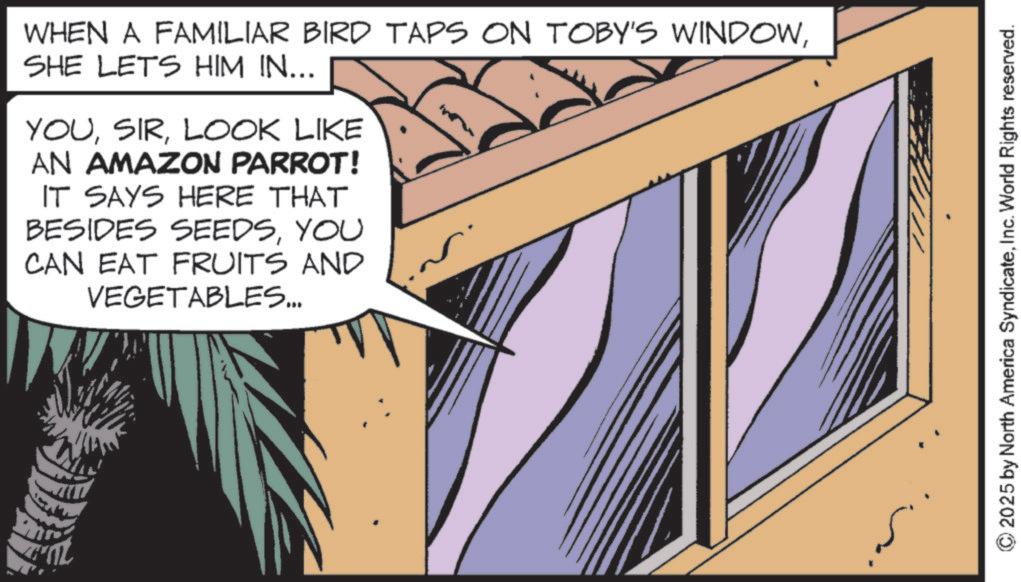 Animated cartoon OCR: WHEN A FAMILIAR BIRD TAPS ON TOBY'S WINDOWSHE LETS HIM IN... YOULOOK LIKE AN AMAZON PARROT! IT SAYS HERE THAT BESIDES SEEDSYOU CAN EAT FRUITS AND VEGETABLES... © 2025 by North America SyndicateInc. World Rights reserved. WHEN A FAMILIAR BIRD TAPS ON TOBY'S WINDOWSHE LETS HIM IN ... YOULOOK LIKE AN AMAZON PARROT ! IT SAYS HERE THAT BESIDES SEEDSYOU CAN EAT FRUITS AND VEGETABLES ... © 2025 by North America SyndicateInc. World Rights reserved .