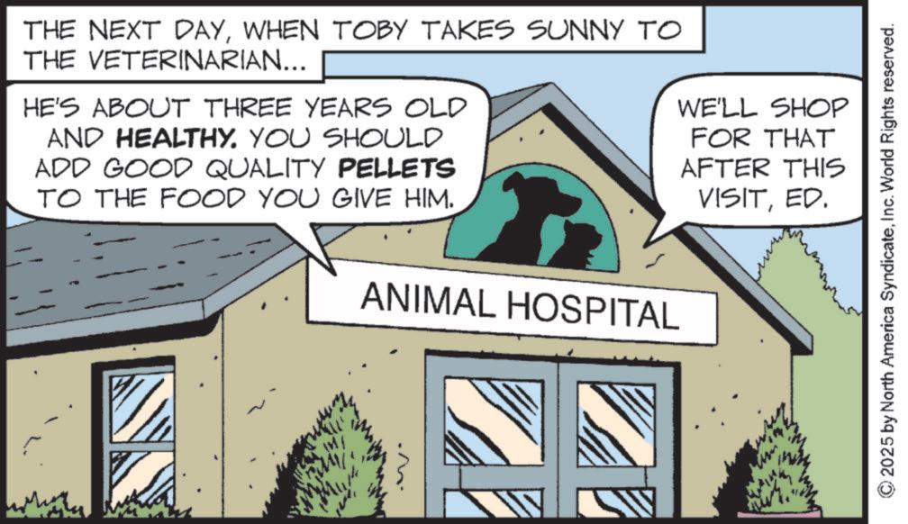 WHEN TOBY TAKES SUNNY TO THE VETERINARIAN... HE'S ABOUT THREE YEARS OLD AND HEALTHY. YOU SHOULD ADD GOOD QUALITY PELLETS TO THE FOOD YOU GIVE HIM. WE'LL SHOP FOR THAT AFTER THIS VISITED. ANIMAL HOSPITAL 2025 by North America SyndicateInc. World Rights reserved. THE NEXT DAYWHEN TOBY TAKES SUNNY TO THE VETERINARIAN ... HE'S ABOUT THREE YEARS OLD AND HEALTHY . YOU SHOULD ADD GOOD QUALITY PELLETS TO THE FOOD YOU GIVE HIM . WE'LL SHOP FOR THAT AFTER THIS VISITED . ANIMAL HOSPITAL 2025 by North America SyndicateInc. World Rights reserved .