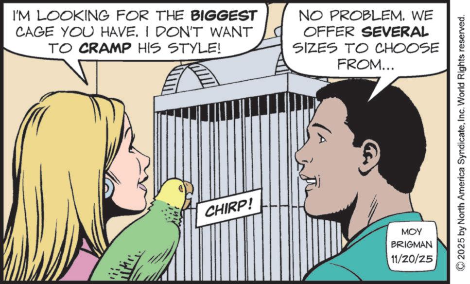 Publication OCR: I'M LOOKING FOR THE BIGGEST CAGE YOU HAVE. I DON'T WANT TO CRAMP HIS STYLE! NO PROBLEM. WE OFFER SEVERAL SIZES TO CHOOSE FROM... CHIRP! MOY BRIGMAN 11/20/25 2025 by North America SyndicateInc. World Rights reserved. I'M LOOKING FOR THE BIGGEST CAGE YOU HAVE . I DON'T WANT TO CRAMP HIS STYLE ! NO PROBLEM . WE OFFER SEVERAL SIZES TO CHOOSE FROM ... CHIRP ! MOY BRIGMAN 11/20/25 2025 by North America SyndicateInc. World Rights reserved .