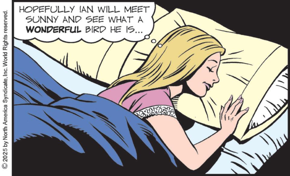 Comic book OCR: 2025 by North America SyndicateInc. World Rights reserved. HOPEFULLY IAN WILL MEET SUNNY AND SEE WHAT A WONDERFUL BIRD HE IS... 2025 by North America SyndicateInc. World Rights reserved . HOPEFULLY IAN WILL MEET SUNNY AND SEE WHAT A WONDERFUL BIRD HE IS ...