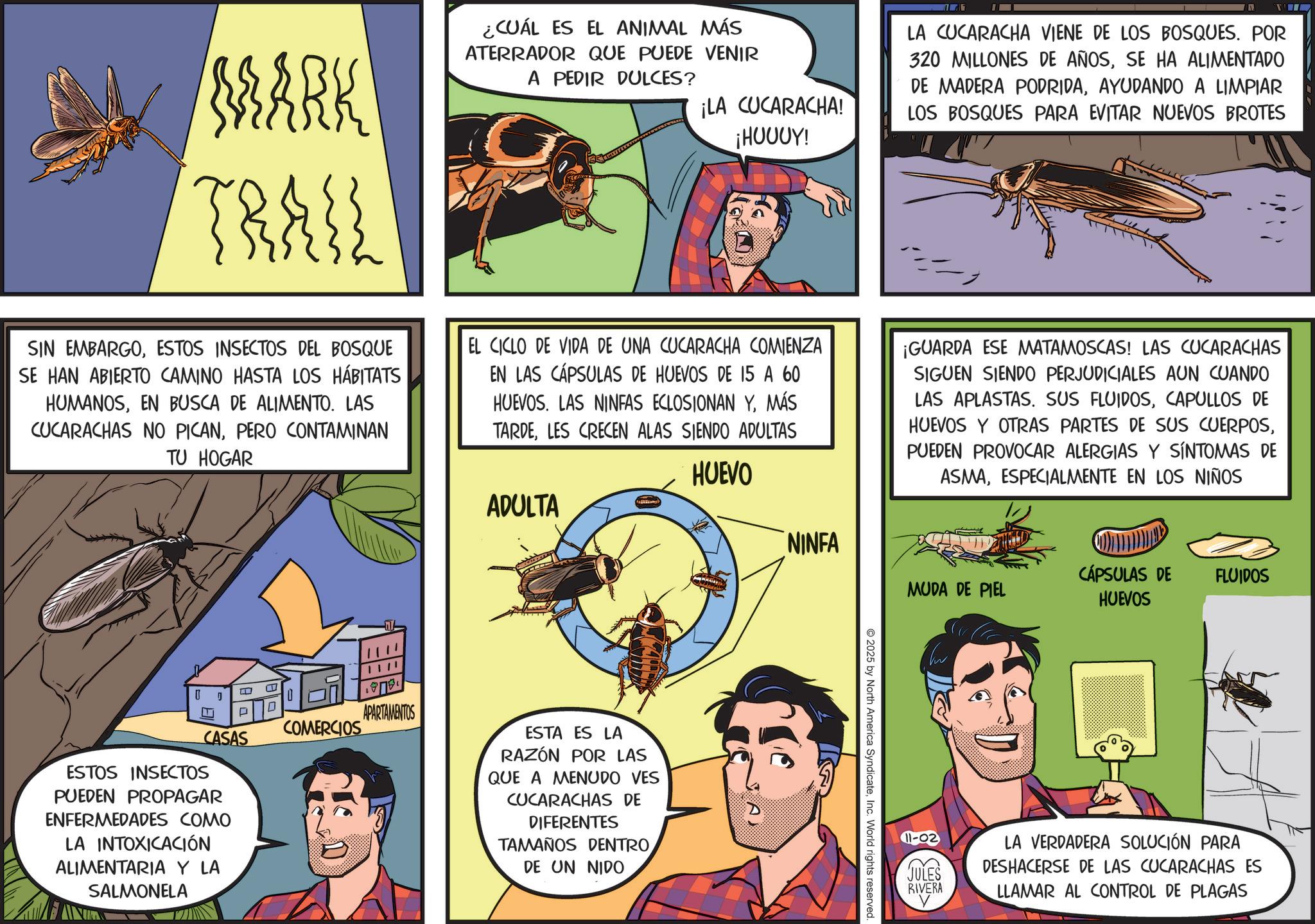 Fiction OCR: EX MARK TRAIL ¿CUÁL ES EL ANIMAL MÁS ATERRADOR QUE PUEDE VENIR A PEDIR DULCES? ¡LA CUCARACHA! ¡HUUUY! LA CUCARACHA VIENE DE LOS BOSQUES. POR 320 MILLONES DE AÑOSSE HA ALIMENTADO DE MADERA PODRIDAAYUDANDO A LIMPIAR LOS BOSQUES PARA EVITAR NUEVOS BROTES SIN EMBARGOESTOS INSECTOS DEL BOSQUE SE HAN ABIERTO CAMINO HASTA LOS HÁBITATS HUMANOSEN BUSCA DE ALIMENTO. LAS CUCARACHAS NO PICANPERO CONTAMINAN TU HOGAR EL CICLO DE VIDA DE UNA CUCARACHA COMIENZA EN LAS CÁPSULAS DE HUEVOS DE 15 A 60 HUEVOS. LAS NINFAS ECLOSIONAN YMÁS TARDELES CRECEN ALAS SIENDO ADULTAS ¡GUARDA ESE MATAMOSCAS! LAS CUCARACHAS SIGUEN SIENDO PERJUDICIALES AUN CUANDO LAS APLASTAS. SUS FLUIDOSCAPULLOS DE HUEVOS Y OTRAS PARTES DE SUS CUERPOSPUEDEN PROVOCAR ALERGIAS Y SÍNTOMAS DE ASMAESPECIALMENTE EN LOS NIÑOS I J ? P ESTOS INSECTOS CASAS PUEDEN PROPAGAR ENFERMEDADES COMO LA INTOXICACIÓN ALIMENTARIA Y LA SALMONELA COMERCIOS APARTAMENTOS ADULTA ESTA ES LA RAZÓN POR LAS QUE A MENUDO VES CUCARACHAS DE DIFERENTES TAMAÑOS DENTRODE UN NIDO HUEVO NINFA MUDA DE PIEL CÁPSULAS DE FLUIDOS HUEVOS 2025 by North America SyndicateInc. World rights reserved. 1-02 JULES RIVERA LA VERDADERA SOLUCIÓN PARA DESHACERSE DE LAS CUCARACHAS ES LLAMAR AL CONTROL DE PLAGAS EX MARK TRAIL ¿ CUÁL ES EL ANIMAL MÁS ATERRADOR QUE PUEDE VENIR A PEDIR DULCES ? ¡ LA CUCARACHA ! ¡ HUUUY ! LA CUCARACHA VIENE DE LOS BOSQUES . POR 320 MILLONES DE AÑOSSE HA ALIMENTADO DE MADERA PODRIDAAYUDANDO A LIMPIAR LOS BOSQUES PARA EVITAR NUEVOS BROTES SIN EMBARGOESTOS INSECTOS DEL BOSQUE SE HAN ABIERTO CAMINO HASTA LOS HÁBITATS HUMANOSEN BUSCA DE ALIMENTO . LAS CUCARACHAS NO PICANPERO CONTAMINAN TU HOGAR EL CICLO DE VIDA DE UNA CUCARACHA COMIENZA EN LAS CÁPSULAS DE HUEVOS DE 15 A 60 HUEVOS . LAS NINFAS ECLOSIONAN YMÁS TARDELES CRECEN ALAS SIENDO ADULTAS ¡ GUARDA ESE MATAMOSCAS ! LAS CUCARACHAS SIGUEN SIENDO PERJUDICIALES AUN CUANDO LAS APLASTAS . SUS FLUIDOSCAPULLOS DE HUEVOS Y OTRAS PARTES DE SUS CUERPOSPUEDEN PROVOCAR ALERGIAS Y SÍNTOMAS DE ASMAESPECIALMENTE EN LOS NIÑOS I J ? P ESTOS INSECTOS CASAS PUEDEN PROPAGAR ENFERMEDADES COMO LA INTOXICACIÓN ALIMENTARIA Y LA SALMONELA COMERCIOS APARTAMENTOS ADULTA ESTA ES LA RAZÓN POR LAS QUE A MENUDO VES CUCARACHAS DE DIFERENTES TAMAÑOS DENTRODE UN NIDO HUEVO NINFA MUDA DE PIEL CÁPSULAS DE FLUIDOS HUEVOS 2025 by North America SyndicateInc. World rights reserved . 1-02 JULES RIVERA LA VERDADERA SOLUCIÓN PARA DESHACERSE DE LAS CUCARACHAS ES LLAMAR AL CONTROL DE PLAGAS