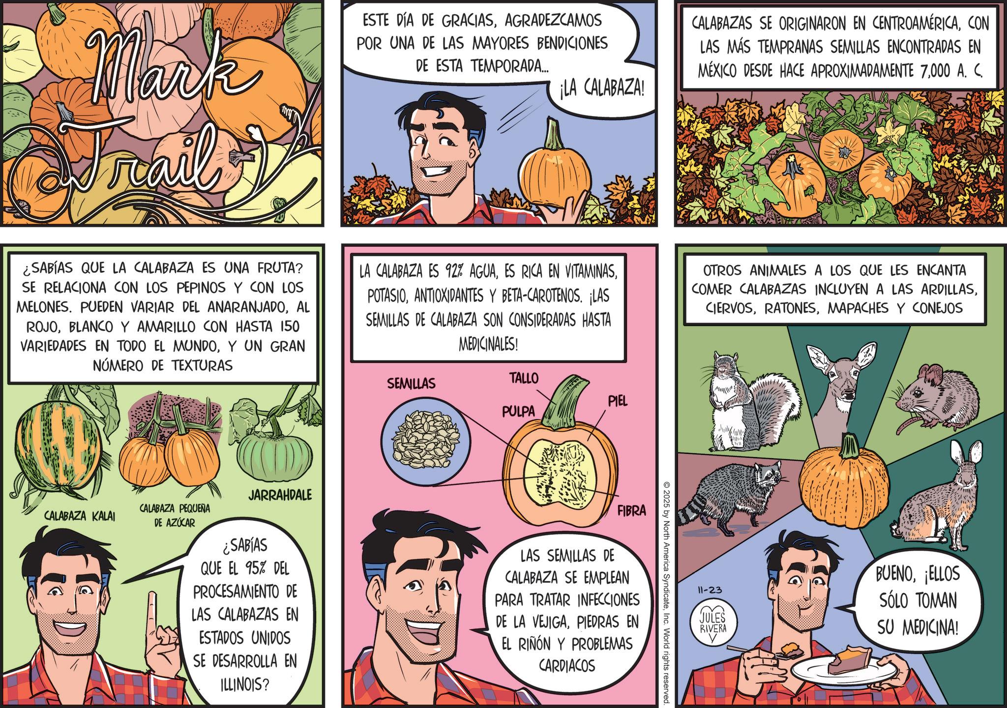 Vegetable OCR: Mark Frail ESTE DÍA DE GRACIASAGRADEZCAMOS POR UNA DE LAS MAYORES BENDICIONES DE ESTA TEMPORADA... ¡LA CALABAZA! CALABAZAS SE ORIGINARON EN CENTROAMÉRICACON LAS MÁS TEMPRANAS SEMILLAS ENCONTRADAS EN MÉXICO DESDE HACE APROXIMADAMENTE 7000 A. C. ¿SABÍAS QUE LA CALABAZA ES UNA FRUTA? SE RELACIONA CON LOS PEPINOS Y CON LOS MELONES. PUEDEN VARIAR DEL ANARANJADOAL ROJOBLANCO Y AMARILLO CON HASTA 150 VARIEDADES EN TODO EL MUNDOY UN GRAN NÚMERO DE TEXTURAS LA CALABAZA ES 92% AGUAANTIOXIDANTES Y BETA-CAROTENOS. ¡LAS SEMILLAS DE CALABAZA SON CONSIDERADAS HASTA MEDICINALES! OTROS ANIMALES A LOS QUE LES ENCANTA COMER CALABAZAS INCLUYEN A LAS ARDILLASMAPACHES Y CONEJOS JARRAHDALE CALABAZA PEQUEÑA CALABAZA KALAI DE AZÚCAR SEMILLAS TALLO PIEL PULPA FIBRA ¿SABÍAS QUE EL 95% DEL PROCESAMIENTO DE LAS CALABAZAS EN ESTADOS UNIDOS SE DESARROLLA EN ILLINOIS? LAS SEMILLAS DE CALABAZA SE EMPLEAN PARA TRATAR INFECCIONES DE LA VEJIGAPIEDRAS EN EL RIÑÓN Y PROBLEMAS CARDIACOS 2025 by North America SyndicateInc. World rights reserved. 11-23 JULES RIVERA BUENOELLOS SÓLO TOMAN SU MEDICINA! Mark Frail ESTE DÍA DE GRACIASAGRADEZCAMOS POR UNA DE LAS MAYORES BENDICIONES DE ESTA TEMPORADA ... ¡ LA CALABAZA ! CALABAZAS SE ORIGINARON EN CENTROAMÉRICACON LAS MÁS TEMPRANAS SEMILLAS ENCONTRADAS EN MÉXICO DESDE HACE APROXIMADAMENTE 7000 A. C. ¿ SABÍAS QUE LA CALABAZA ES UNA FRUTA ? SE RELACIONA CON LOS PEPINOS Y CON LOS MELONES . PUEDEN VARIAR DEL ANARANJADOAL ROJOBLANCO Y AMARILLO CON HASTA 150 VARIEDADES EN TODO EL MUNDOY UN GRAN NÚMERO DE TEXTURAS LA CALABAZA ES 92 % AGUAES RICA EN VITAMINASANTIOXIDANTES Y BETA - CAROTENOS . ¡ LAS SEMILLAS DE CALABAZA SON CONSIDERADAS HASTA MEDICINALES ! OTROS ANIMALES A LOS QUE LES ENCANTA COMER CALABAZAS INCLUYEN A LAS ARDILLASMAPACHES Y CONEJOS JARRAHDALE CALABAZA PEQUEÑA CALABAZA KALAI DE AZÚCAR SEMILLAS TALLO PIEL PULPA FIBRA ¿ SABÍAS QUE EL 95 % DEL PROCESAMIENTO DE LAS CALABAZAS EN ESTADOS UNIDOS SE DESARROLLA EN ILLINOIS ? LAS SEMILLAS DE CALABAZA SE EMPLEAN PARA TRATAR INFECCIONES DE LA VEJIGAPIEDRAS EN EL RIÑÓN Y PROBLEMAS CARDIACOS 2025 by North America SyndicateInc. World rights reserved . 11-23 JULES RIVERA BUENOELLOS SÓLO TOMAN SU MEDICINA !