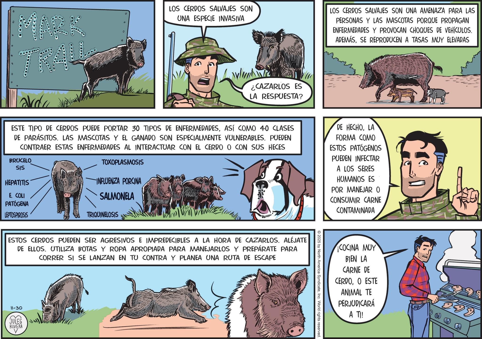 Ranch OCR: MARK ° LOS CERDOS SALVAJES SON UNA ESPECIE INVASIVA LOS CERDOS SALVAJES SON UNA AMENAZA PARA LAS PERSONAS Y LAS MASCOTAS PORQUE PROPAGAN ENFERMEDADES Y PROVOCAN CHOQUES DE VEHÍCULOS. ADEMÁSSE REPRODUCEN A TASAS MUY ELEVADAS avdu ¿CAZARLOS ES LA RESPUESTA? ESTE TIPO DE CERDOS PUEDE PORTAR 30 TIPOS DE ENFERMEDADESASÍ COMO 40 CLASES DE PARÁSITOS. LAS MASCOTAS Y EL GANADO SON ESPECIALMENTE VULNERABLES. PUEDEN CONTRAER ESTAS ENFERMEDADES AL INTERACTUAR CON EL CERDO O CON SUS HECES BRUCELO SIS HEPATITIS E. COLI PATÓGENA LEPTOSPIROSIS TOXOPLASMOSIS INFLUENZA PORCINA SALMONELA TRIQUINELOSIS DE HECHOLA FORMA COMO ESTOS PATÓGENOS PUEDEN INFECTAR A LOS SERES HUMANOS ES POR MANEJAR O CONSUMIR CARNE CONTAMINADA ESTOS CERDOS PUEDEN SER AGRESIVOS E IMPREDECIBLES A LA HORA DE CAZARLOS. ALEJATE DE ELLOS. UTILIZA BOTAS Y ROPA APROPIADA PARA MANEJARLOS Y PREPÁRATE PARA CORRER SI SE LANZAN EN TU CONTRA Y PLANEA UNA RUTA DE ESCAPE 11-30 JULES RIVERA 2025 by North America SyndicateInc. World rights reserved. COCINA MUY BIEN LA CARNE DE CERDOO ESTE ANIMAL TE PERJUDICARÁ A TI! 99 MARK ° LOS CERDOS SALVAJES SON UNA ESPECIE INVASIVA LOS CERDOS SALVAJES SON UNA AMENAZA PARA LAS PERSONAS Y LAS MASCOTAS PORQUE PROPAGAN ENFERMEDADES Y PROVOCAN CHOQUES DE VEHÍCULOS . ADEMÁSSE REPRODUCEN A TASAS MUY ELEVADAS avdu ¿ CAZARLOS ES LA RESPUESTA ? ESTE TIPO DE CERDOS PUEDE PORTAR 30 TIPOS DE ENFERMEDADESASÍ COMO 40 CLASES DE PARÁSITOS . LAS MASCOTAS Y EL GANADO SON ESPECIALMENTE VULNERABLES . PUEDEN CONTRAER ESTAS ENFERMEDADES AL INTERACTUAR CON EL CERDO O CON SUS HECES BRUCELO SIS HEPATITIS E. COLI PATÓGENA LEPTOSPIROSIS TOXOPLASMOSIS INFLUENZA PORCINA SALMONELA TRIQUINELOSIS DE HECHOLA FORMA COMO ESTOS PATÓGENOS PUEDEN INFECTAR A LOS SERES HUMANOS ES POR MANEJAR O CONSUMIR CARNE CONTAMINADA ESTOS CERDOS PUEDEN SER AGRESIVOS E IMPREDECIBLES A LA HORA DE CAZARLOS . ALEJATE DE ELLOS . UTILIZA BOTAS Y ROPA APROPIADA PARA MANEJARLOS Y PREPÁRATE PARA CORRER SI SE LANZAN EN TU CONTRA Y PLANEA UNA RUTA DE ESCAPE 11-30 JULES RIVERA 2025 by North America SyndicateInc. World rights reserved . COCINA MUY BIEN LA CARNE DE CERDOO ESTE ANIMAL TE PERJUDICARÁ A TI ! 99