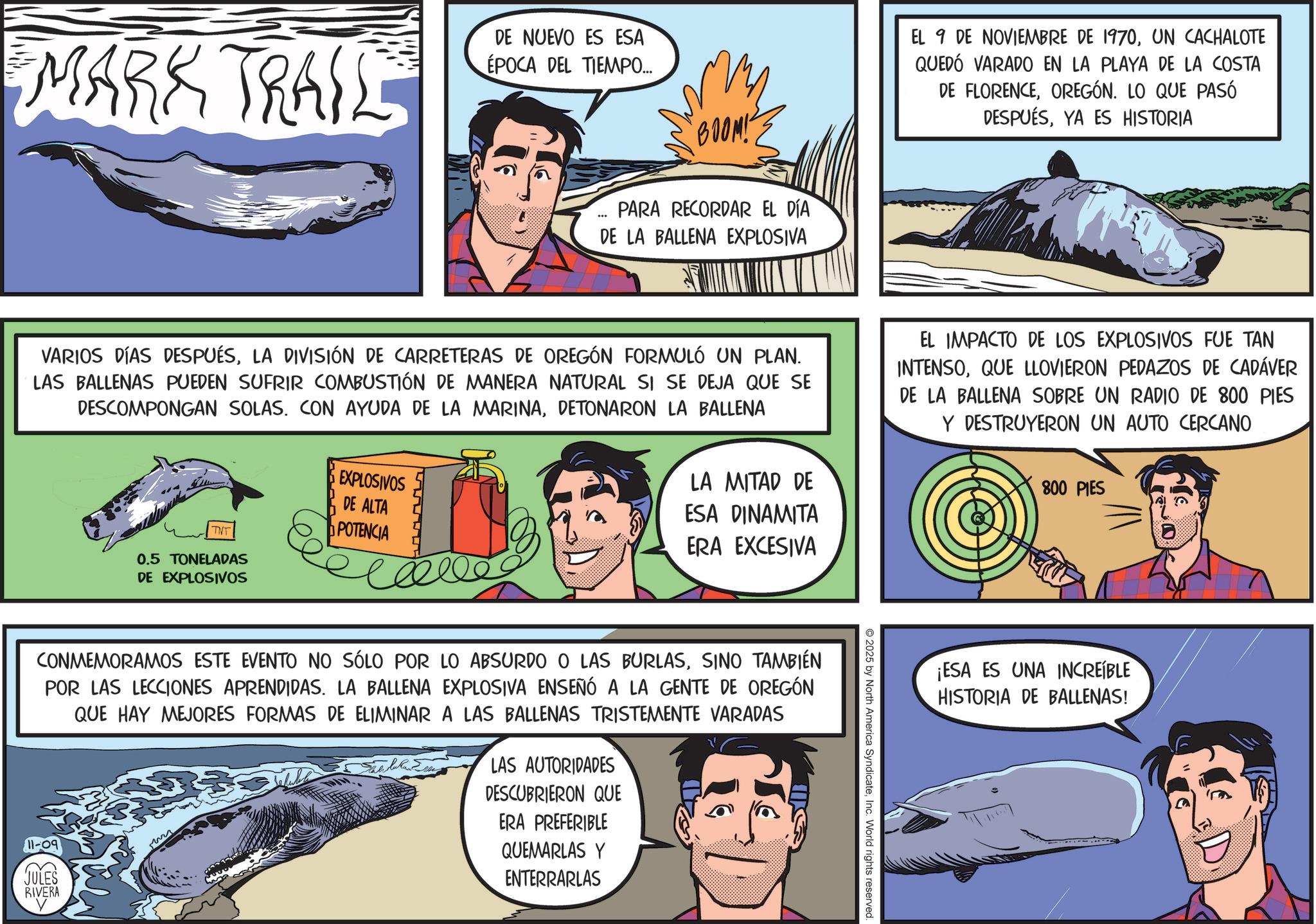 Animated cartoon OCR: MARK TRAIL DE NUEVO ES ESA ÉPOCA DEL TIEMPO... BOOM! EL 9 DE NOVIEMBRE DE 1970UN CACHALOTE QUEDÓ VARADO EN LA PLAYA DE LA COSTA DE FLORENCEOREGÓN. LO QUE PASÓ DESPUÉSYA ES HISTORIA ... PARA RECORDAR EL DÍA DE LA BALLENA EXPLOSIVA VARIOS DÍAS DESPUÉSLA DIVISIÓN DE CARRETERAS DE OREGÓN FORMULÓ UN PLAN. LAS BALLENAS PUEDEN SUFRIR COMBUSTIÓN DE MANERA NATURAL SI SE DEJA QUE SE DESCOMPONGAN SOLAS. CON AYUDA DE LA MARINADETONARON LA BALLENA TNT 0.5 TONELADAS DE EXPLOSIVOS EXPLOSIVOS DE ALTA POTENCIA To ????? LA MITAD DE ESA DINAMITA ERA EXCESIVA CONMEMORAMOS ESTE EVENTO NO SÓLO POR LO ABSURDO O LAS BURLASSINO TAMBIÉN POR LAS LECCIONES APRENDIDAS. LA BALLENA EXPLOSIVA ENSEÑÓ A LA GENTE DE OREGÓN QUE HAY MEJORES FORMAS DE ELIMINAR A LAS BALLENAS TRISTEMENTE VARADAS 11-09 JULES RIVERA LAS AUTORIDADES DESCUBRIERON QUE ERA PREFERIBLE QUEMARLAS Y ENTERRARLAS 2025 by North America SyndicateInc. World rights reserved. EL IMPACTO DE LOS EXPLOSIVOS FUE TAN INTENSOQUE LLOVIERON PEDAZOS DE CADÁVER DE LA BALLENA SOBRE UN RADIO DE 800 PIES Y DESTRUYERON UN AUTO CERCANO 800 PIES ¡ESA ES UNA INCREÍBLE HISTORIA DE BALLENAS! MARK TRAIL DE NUEVO ES ESA ÉPOCA DEL TIEMPO ... BOOM ! EL 9 DE NOVIEMBRE DE 1970UN CACHALOTE QUEDÓ VARADO EN LA PLAYA DE LA COSTA DE FLORENCEOREGÓN . LO QUE PASÓ DESPUÉSYA ES HISTORIA ... PARA RECORDAR EL DÍA DE LA BALLENA EXPLOSIVA VARIOS DÍAS DESPUÉSLA DIVISIÓN DE CARRETERAS DE OREGÓN FORMULÓ UN PLAN . LAS BALLENAS PUEDEN SUFRIR COMBUSTIÓN DE MANERA NATURAL SI SE DEJA QUE SE DESCOMPONGAN SOLAS . CON AYUDA DE LA MARINADETONARON LA BALLENA TNT 0.5 TONELADAS DE EXPLOSIVOS EXPLOSIVOS DE ALTA POTENCIA To ????? LA MITAD DE ESA DINAMITA ERA EXCESIVA CONMEMORAMOS ESTE EVENTO NO SÓLO POR LO ABSURDO O LAS BURLASSINO TAMBIÉN POR LAS LECCIONES APRENDIDAS . LA BALLENA EXPLOSIVA ENSEÑÓ A LA GENTE DE OREGÓN QUE HAY MEJORES FORMAS DE ELIMINAR A LAS BALLENAS TRISTEMENTE VARADAS 11-09 JULES RIVERA LAS AUTORIDADES DESCUBRIERON QUE ERA PREFERIBLE QUEMARLAS Y ENTERRARLAS 2025 by North America SyndicateInc. World rights reserved . EL IMPACTO DE LOS EXPLOSIVOS FUE TAN INTENSOQUE LLOVIERON PEDAZOS DE CADÁVER DE LA BALLENA SOBRE UN RADIO DE 800 PIES Y DESTRUYERON UN AUTO CERCANO 800 PIES ¡ ESA ES UNA INCREÍBLE HISTORIA DE BALLENAS !