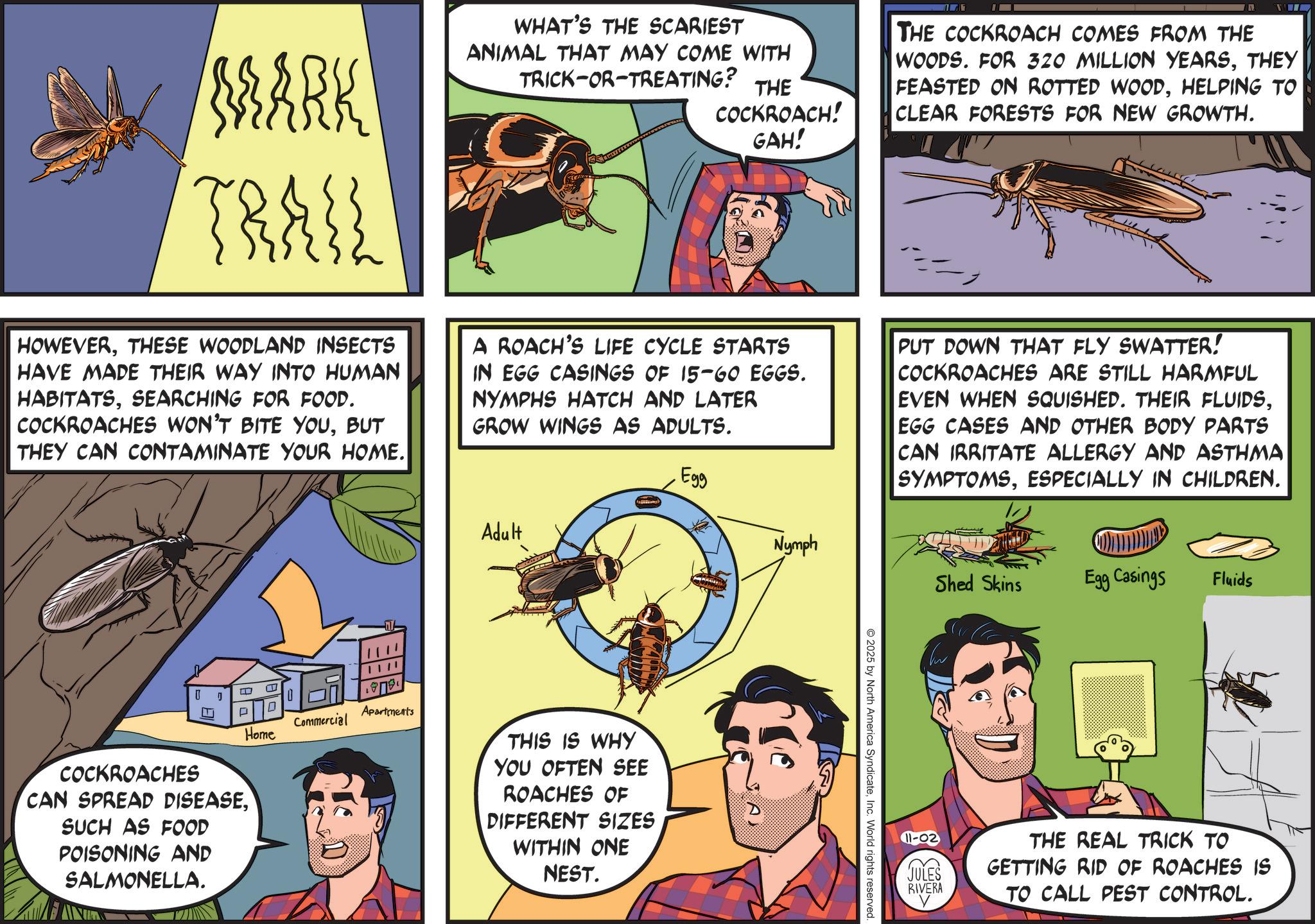 Comic book OCR: EV MARK TRAIL WHAT'S THE SCARIEST ANIMAL THAT MAY COME WITH TRICK-OR-TREATING? THE COCKROACH! GAH! ? THE COCKROACH COMES FROM THE WOODS. FOR 320 MILLION YEARSTHEY FEASTED ON ROTTED WOODHELPING TO CLEAR FORESTS FOR NEW GROWTH. HOWEVERTHESE WOODLAND INSECTS HAVE MADE THEIR WAY INTO HUMAN HABITATSSEARCHING FOR FOOD. COCKROACHES WON'T BITE YOUBUT THEY CAN CONTAMINATE YOUR HOME. A ROACH'S LIFE CYCLE STARTS IN EGG CASINGS OF 15-60 EGGS. NYMPHS HATCH AND LATER GROW WINGS AS ADULTS. Adult Egg Nymph PUT DOWN THAT FLY SWATTER! COCKROACHES ARE STILL HARMFUL EVEN WHEN SQUISHED. THEIR FLUIDSEGG CASES AND OTHER BODY PARTS CAN IRRITATE ALLERGY AND ASTHMA SYMPTOMSESPECIALLY IN CHILDREN. ? I J P Apartments Commercial Home COCKROACHES CAN SPREAD DISEASESUCH AS FOOD POISONING AND SALMONELLA. 40 THIS IS WHY YOU OFTEN SEE ROACHES OF DIFFERENT SIZES WITHIN ONE NEST. Shed Skins Egg Casings Fluids 2025 by North America SyndicateInc. World rights reserved. 11-02 JULES RIVERA THE REAL TRICK TO GETTING RID OF ROACHES IS TO CALL PEST CONTROL. EV MARK TRAIL WHAT'S THE SCARIEST ANIMAL THAT MAY COME WITH TRICK - OR - TREATING ? THE COCKROACH ! GAH ! ? THE COCKROACH COMES FROM THE WOODS . FOR 320 MILLION YEARSTHEY FEASTED ON ROTTED WOODHELPING TO CLEAR FORESTS FOR NEW GROWTH . HOWEVERTHESE WOODLAND INSECTS HAVE MADE THEIR WAY INTO HUMAN HABITATSSEARCHING FOR FOOD . COCKROACHES WON'T BITE YOUBUT THEY CAN CONTAMINATE YOUR HOME . A ROACH'S LIFE CYCLE STARTS IN EGG CASINGS OF 15-60 EGGS . NYMPHS HATCH AND LATER GROW WINGS AS ADULTS . Adult Egg Nymph PUT DOWN THAT FLY SWATTER ! COCKROACHES ARE STILL HARMFUL EVEN WHEN SQUISHED . THEIR FLUIDSEGG CASES AND OTHER BODY PARTS CAN IRRITATE ALLERGY AND ASTHMA SYMPTOMSESPECIALLY IN CHILDREN . ? I J P Apartments Commercial Home COCKROACHES CAN SPREAD DISEASESUCH AS FOOD POISONING AND SALMONELLA . 40 THIS IS WHY YOU OFTEN SEE ROACHES OF DIFFERENT SIZES WITHIN ONE NEST . Shed Skins Egg Casings Fluids 2025 by North America SyndicateInc. World rights reserved . 11-02 JULES RIVERA THE REAL TRICK TO GETTING RID OF ROACHES IS TO CALL PEST CONTROL .
