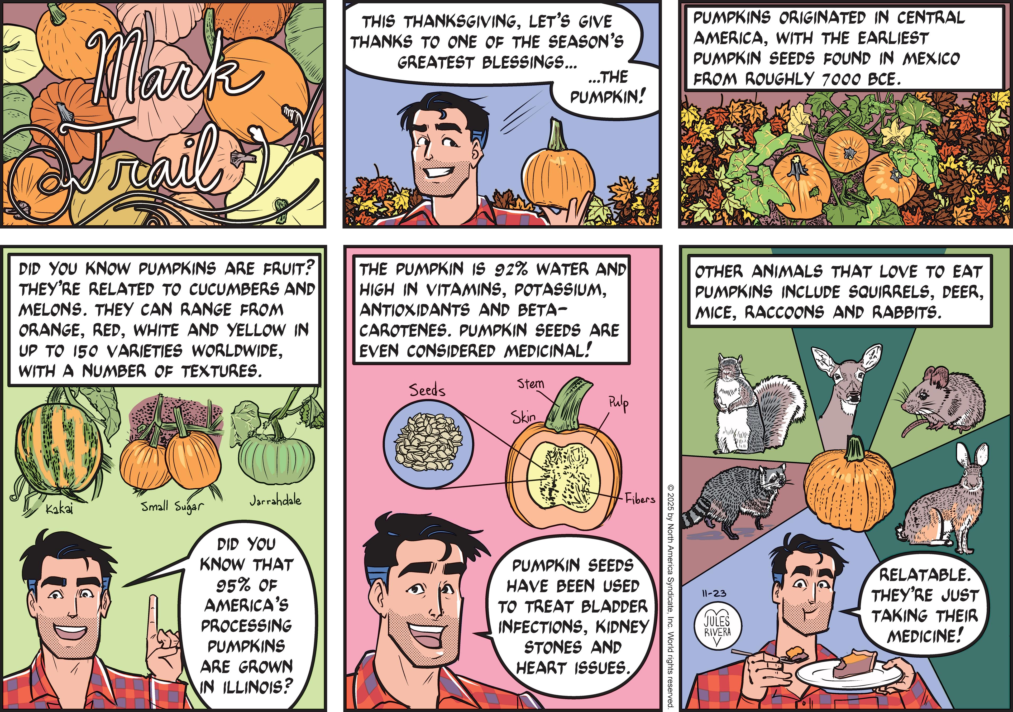 Comic book OCR: Mark Trail THIS THANKSGIVINGLET'S GIVE THANKS TO ONE OF THE SEASON'S GREATEST BLESSINGS... ...THE PUMPKIN! PUMPKINS ORIGINATED IN CENTRAL AMERICAWITH THE EARLIEST PUMPKIN SEEDS FOUND IN MEXICO FROM ROUGHLY 7000 BCE. DID YOU KNOW PUMPKINS ARE FRUIT? THEY'RE RELATED TO CUCUMBERS AND MELONS. THEY CAN RANGE FROM ORANGEWHITE AND YELLOW IN UP TO 150 VARIETIES WORLDWIDEWITH A NUMBER OF TEXTURES. THE PUMPKIN IS 92% WATER AND HIGH IN VITAMINSANTIOXIDANTS AND BETA- CAROTENES. PUMPKIN SEEDS ARE EVEN CONSIDERED MEDICINAL! OTHER ANIMALS THAT LOVE TO EAT PUMPKINS INCLUDE SQUIRRELSRACCOONS AND RABBITS. Kakai Stem Seeds Pulp Skin 2025 by North America SyndicateInc. World rights reserved Small Sugar Jarrahdale DID YOU KNOW THAT 95% OF AMERICA'S PROCESSING PUMPKINS ARE GROWN IN ILLINOIS? Fibers PUMPKIN SEEDS HAVE BEEN USED TO TREAT BLADDER INFECTIONSKIDNEY STONES AND HEART ISSUES. 11-23 JULES RIVERA RELATABLE. THEY'RE JUST TAKING THEIR MEDICINE! Mark Trail THIS THANKSGIVINGLET'S GIVE THANKS TO ONE OF THE SEASON'S GREATEST BLESSINGS ... ... THE PUMPKIN ! PUMPKINS ORIGINATED IN CENTRAL AMERICAWITH THE EARLIEST PUMPKIN SEEDS FOUND IN MEXICO FROM ROUGHLY 7000 BCE . DID YOU KNOW PUMPKINS ARE FRUIT ? THEY'RE RELATED TO CUCUMBERS AND MELONS . THEY CAN RANGE FROM ORANGEWHITE AND YELLOW IN UP TO 150 VARIETIES WORLDWIDEWITH A NUMBER OF TEXTURES . THE PUMPKIN IS 92 % WATER AND HIGH IN VITAMINSANTIOXIDANTS AND BETA- CAROTENES . PUMPKIN SEEDS ARE EVEN CONSIDERED MEDICINAL ! OTHER ANIMALS THAT LOVE TO EAT PUMPKINS INCLUDE SQUIRRELSRACCOONS AND RABBITS . Kakai Stem Seeds Pulp Skin 2025 by North America SyndicateInc. World rights reserved Small Sugar Jarrahdale DID YOU KNOW THAT 95 % OF AMERICA'S PROCESSING PUMPKINS ARE GROWN IN ILLINOIS ? Fibers PUMPKIN SEEDS HAVE BEEN USED TO TREAT BLADDER INFECTIONSKIDNEY STONES AND HEART ISSUES . 11-23 JULES RIVERA RELATABLE . THEY'RE JUST TAKING THEIR MEDICINE !