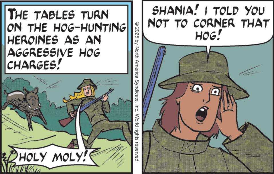 Photo caption OCR: THE TABLES TURN ON THE HOG-HUNTING HEROINES AS AN AGGRESSIVE HOG CHARGES! HOLY MOLY! SHANIA! I TOLD YOU NOT TO CORNER THAT HOG! © 2025 by North America SyndicateInc. World rights reserved. THE TABLES TURN ON THE HOG - HUNTING HEROINES AS AN AGGRESSIVE HOG CHARGES ! HOLY MOLY ! SHANIA ! I TOLD YOU NOT TO CORNER THAT HOG ! © 2025 by North America SyndicateInc. World rights reserved .
