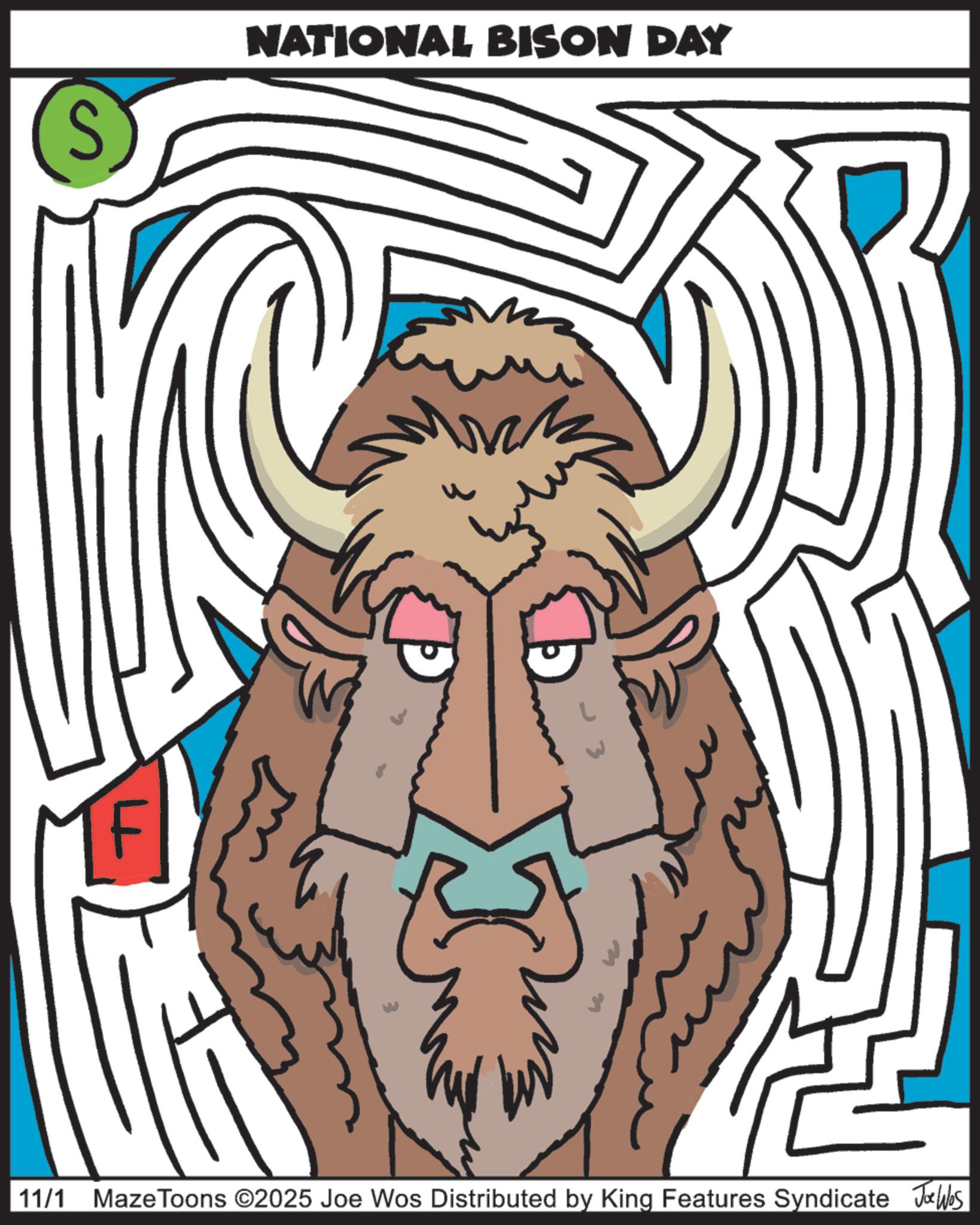 Graphic design OCR: 11/1 S NATIONAL BISON DAY ??? Maze Toons ©2025 Joe Wos Distributed by King Features Syndicate Joe was 11/1 S NATIONAL BISON DAY ??? Maze Toons © 2025 Joe Wos Distributed by King Features Syndicate Joe was