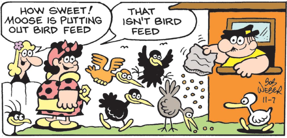 Animation OCR: HOW SWEET! MOOSE IS PUTTING OUT BIRD FEED THAT ISN'T BIRD FEED 00 ??? WEBER 11-7 HOW SWEET ! MOOSE IS PUTTING OUT BIRD FEED THAT ISN'T BIRD FEED 00 ??? WEBER 11-7