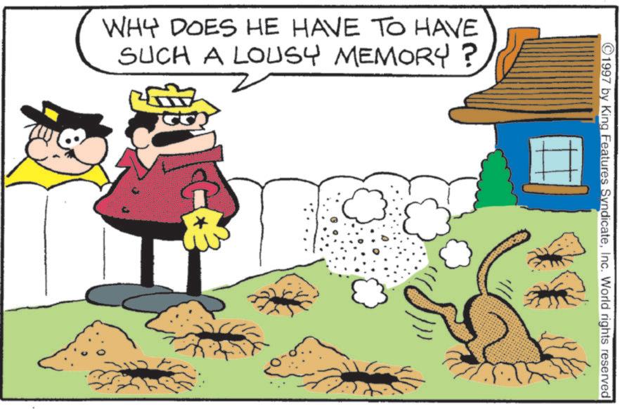 Pleased OCR: WHY DOES HE HAVE TO HAVE SUCH A LOUSY MEMORY? 1997 by King Features SyndicateInc. World rights reserved WHY DOES HE HAVE TO HAVE SUCH A LOUSY MEMORY ? 1997 by King Features SyndicateInc. World rights reserved