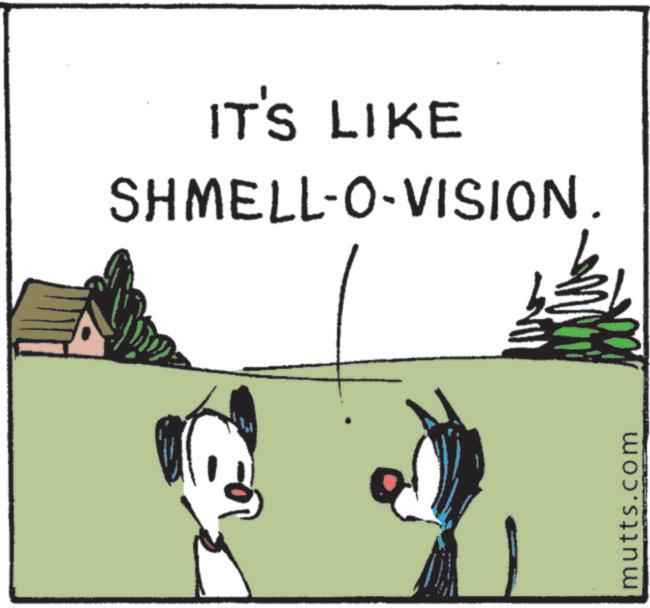 Line art OCR: IT'S LIKE SHMELL-O-VISION. mutts.com IT'S LIKE SHMELL - O - VISION . mutts.com