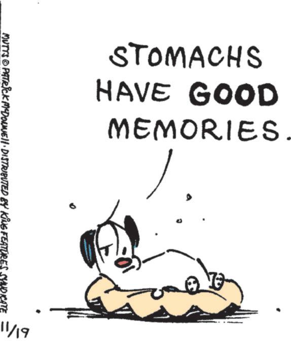 Handwriting OCR: STOMACHS HAVE GOOD MEMORIES ? MUTTS © PATRICK MCDONNELL DISTRIBUTED BY KING FEATURES SYNDICATE 11/19 STOMACHS HAVE GOOD MEMORIES ? MUTTS © PATRICK MCDONNELL DISTRIBUTED BY KING FEATURES SYNDICATE 11/19