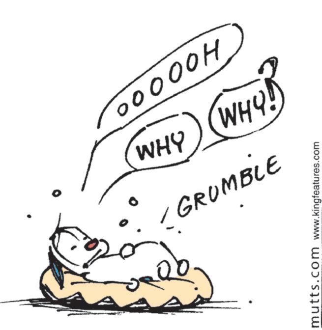 Animation OCR: WHOB WHY (OHM) (SHM) HOOOOO ! GRUMBLE mutts.com www.kingfeatures.com WHOB WHY ( OHM ) ( SHM ) HOOOOO ! GRUMBLE mutts.com www.kingfeatures.com