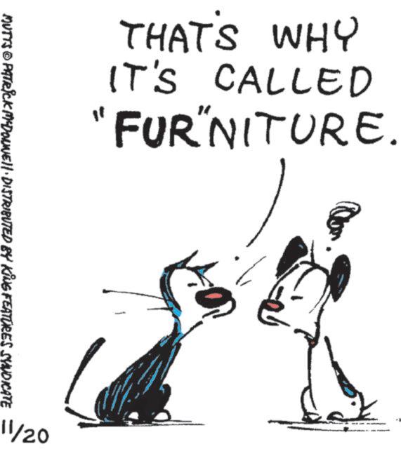 Fiction OCR: THAT'S WHY IT'S CALLED "FURNITURE. MUTTS © PATRICK MYDONNELL DISTRIBUTED BY KING FEATURES SYNDICATE 11/20 THAT'S WHY IT'S CALLED " FURNITURE . MUTTS © PATRICK MYDONNELL DISTRIBUTED BY KING FEATURES SYNDICATE 11/20