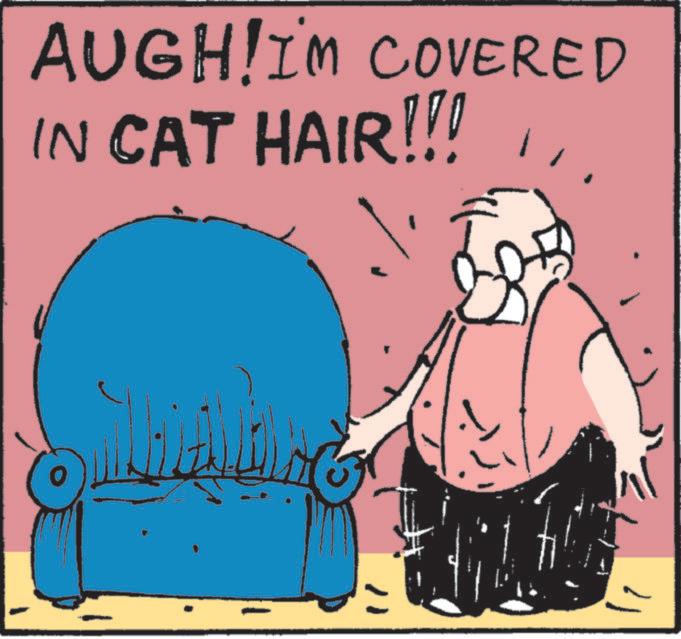 Felidae OCR: AUGH!I'M COVERED IN CAT HAIR!!! AUGH ! I'M COVERED IN CAT HAIR !!!