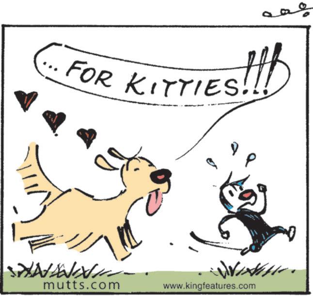 Working animal OCR: !!! · FOR KITTIES! ? P mutts.com www.kingfeatures.com 0 !!! · FOR KITTIES ! ? P mutts.com www.kingfeatures.com 0