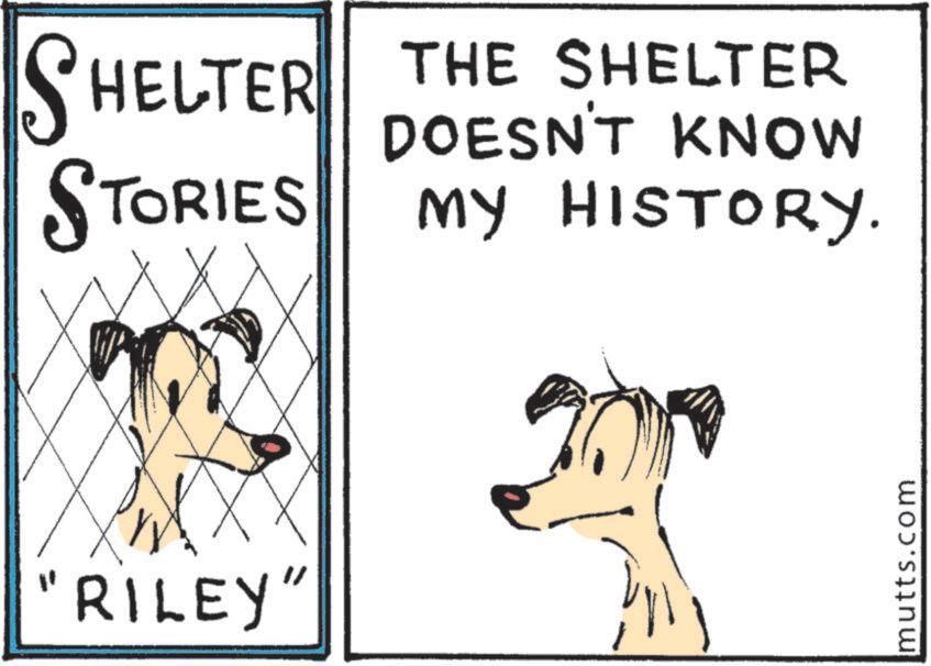 Sketch OCR: SHELTER THE SHELTER STORIES MY HISTORY. DOESN'T KNOW RILEY" mutts.com SHELTER THE SHELTER STORIES MY HISTORY . DOESN'T KNOW RILEY " mutts.com