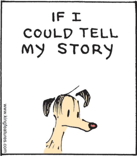 Child art OCR: IF I COULD TELL MY STORY www.kingfeatures.com IF I COULD TELL MY STORY www.kingfeatures.com