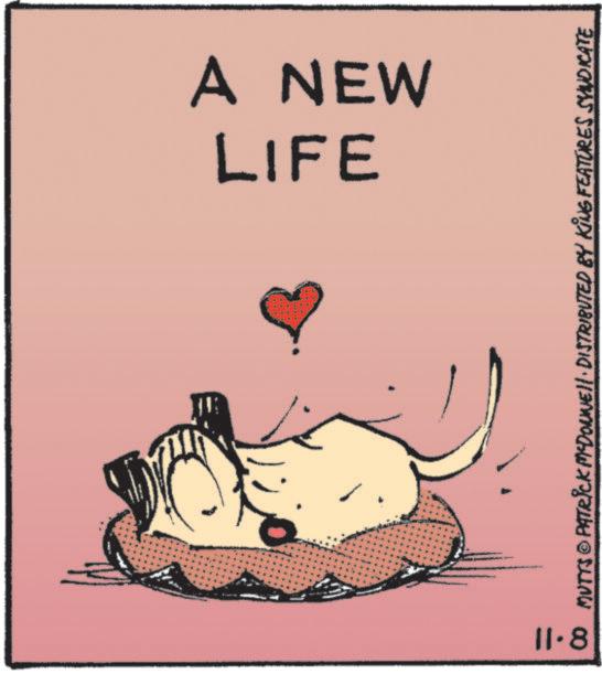 Felidae OCR: LIFE A NEW 11.8 MUTTS & PATRICK MYDONNELL DISTRIBUTED BY KING FEATURES SYNDICATE LIFE A NEW 11.8 MUTTS & PATRICK MYDONNELL DISTRIBUTED BY KING FEATURES SYNDICATE