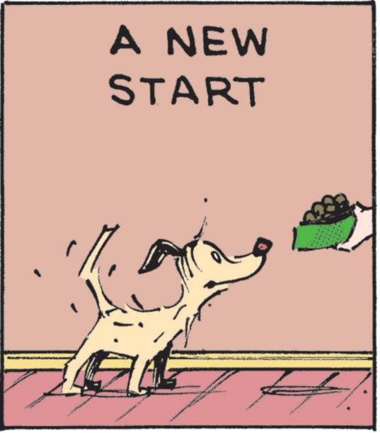 Handwriting OCR: A NEW START A NEW START