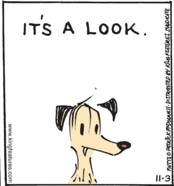 Design OCR: ??? ???? ??? IT'S A LOOK. 11.3 MUTTS © PATRICK MEDONNELL · DISTRIBUTED BY KING FEATURES SYNDICATE ??? ???? ??? IT'S A LOOK . 11.3 MUTTS © PATRICK MEDONNELL · DISTRIBUTED BY KING FEATURES SYNDICATE
