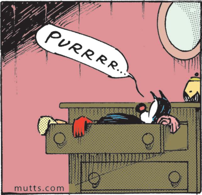 Photo caption OCR: w • PURRRR.. F mutts.com w • PURRRR .. F mutts.com