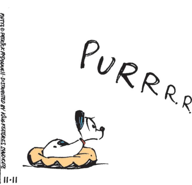 Sketch OCR: RRR MUTTS © PATRICK MYDONNEll · DISTRIBUTED BY KING FEATURES SYNDICATE RRR MUTTS © PATRICK MYDONNEll · DISTRIBUTED BY KING FEATURES SYNDICATE