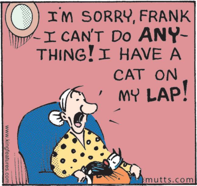 Publication OCR: I'M SORRYFRANK I CAN'T DO ANY- THING! I HAVE ACAT ON ? MY LAP! www.kingfeatures.com mutts.com I'M SORRYFRANK I CAN'T DO ANY- THING ! I HAVE ACAT ON ? MY LAP ! www.kingfeatures.com mutts.com