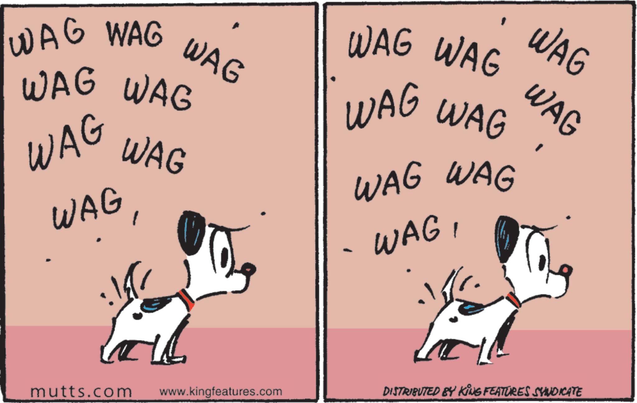 Working animal OCR: WAG WAG WAG WAG WAG WAG WAG WAG WAG WAG WAG WAG WAG WAG - WAGWAG WAG mutts.com www.kingfeatures.com DISTRIBUTED BY KING FEATURES SYNDICATE WAG WAG WAG WAG WAG WAG WAG WAG WAG WAG WAG WAG WAG WAG - WAGWAG WAG mutts.com www.kingfeatures.com DISTRIBUTED BY KING FEATURES SYNDICATE