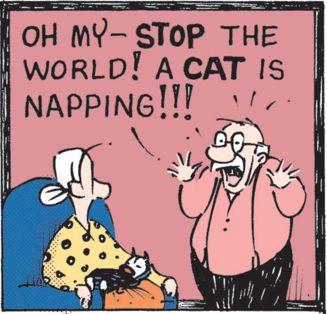 Animated cartoon OCR: OH MY-STOP THE WORLD! A CAT IS NAPPING!!! OH MY - STOP THE WORLD ! A CAT IS NAPPING !!!