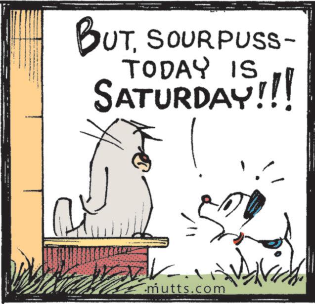 OCR: BUT. ITSOURPUSS TODAY IS SATURDAY!!! ? mutts.com BUT . ITSOURPUSS TODAY IS SATURDAY !!! ? mutts.com