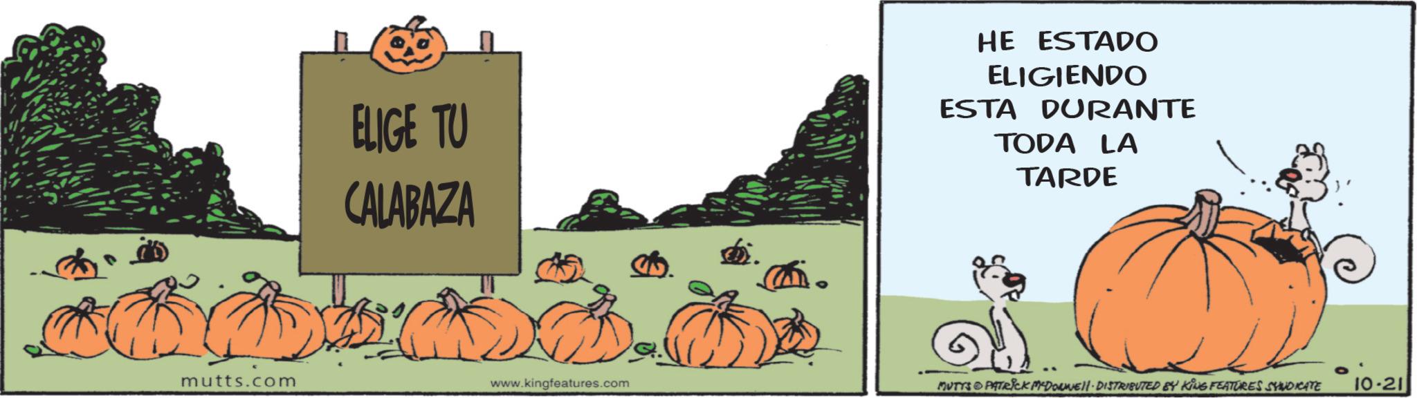 Cucurbits OCR: ELIGE TU CALABAZA HE ESTADO ELIGIENDO ESTA DURANTE TODA LA TARDE mutts.com www.kingfeatures.com MUTYS & PATRICK MYDOWWE!!· DISTRIBUTED BY KING FEATURES SYNDICATE 10-21 ELIGE TU CALABAZA HE ESTADO ELIGIENDO ESTA DURANTE TODA LA TARDE mutts.com www.kingfeatures.com MUTYS & PATRICK MYDOWWE !! · DISTRIBUTED BY KING FEATURES SYNDICATE 10-21